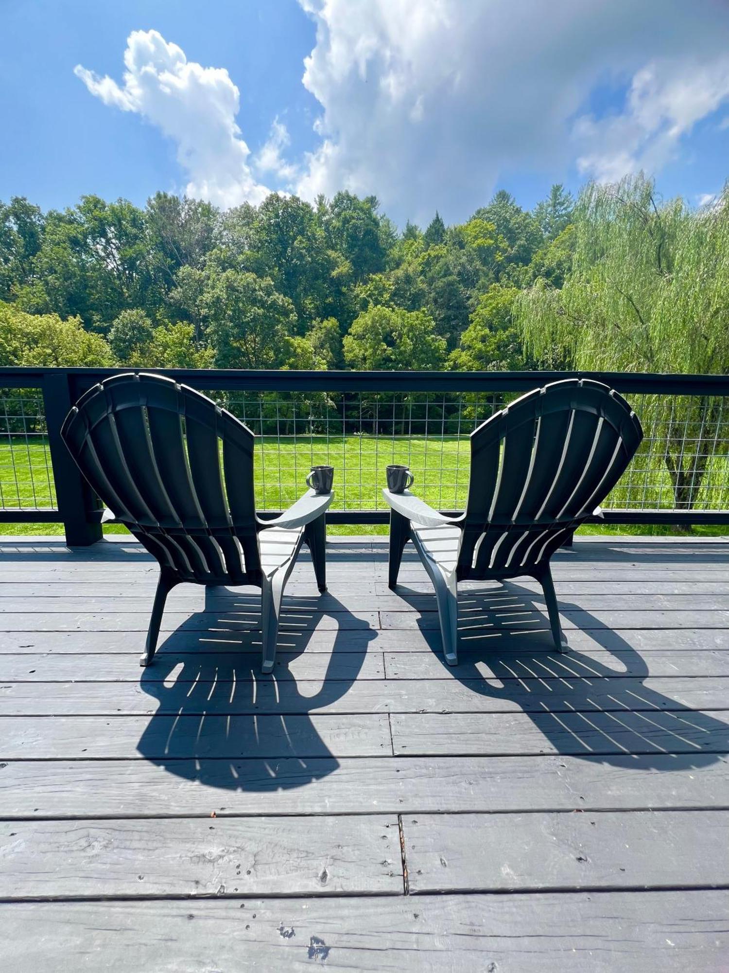 Firefly Fields 2-Acres With Guest House, Game Room, Mountain & River Views Sevierville Extérieur photo