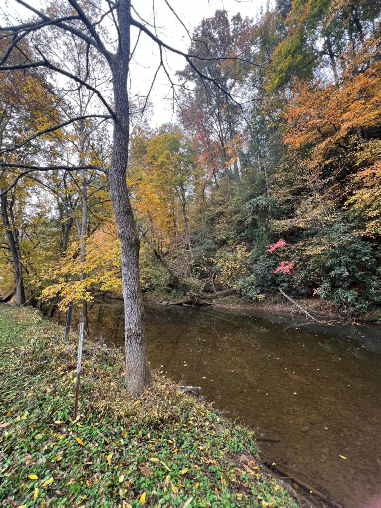 Firefly Fields 2-Acres With Guest House, Game Room, Mountain & River Views Sevierville Extérieur photo
