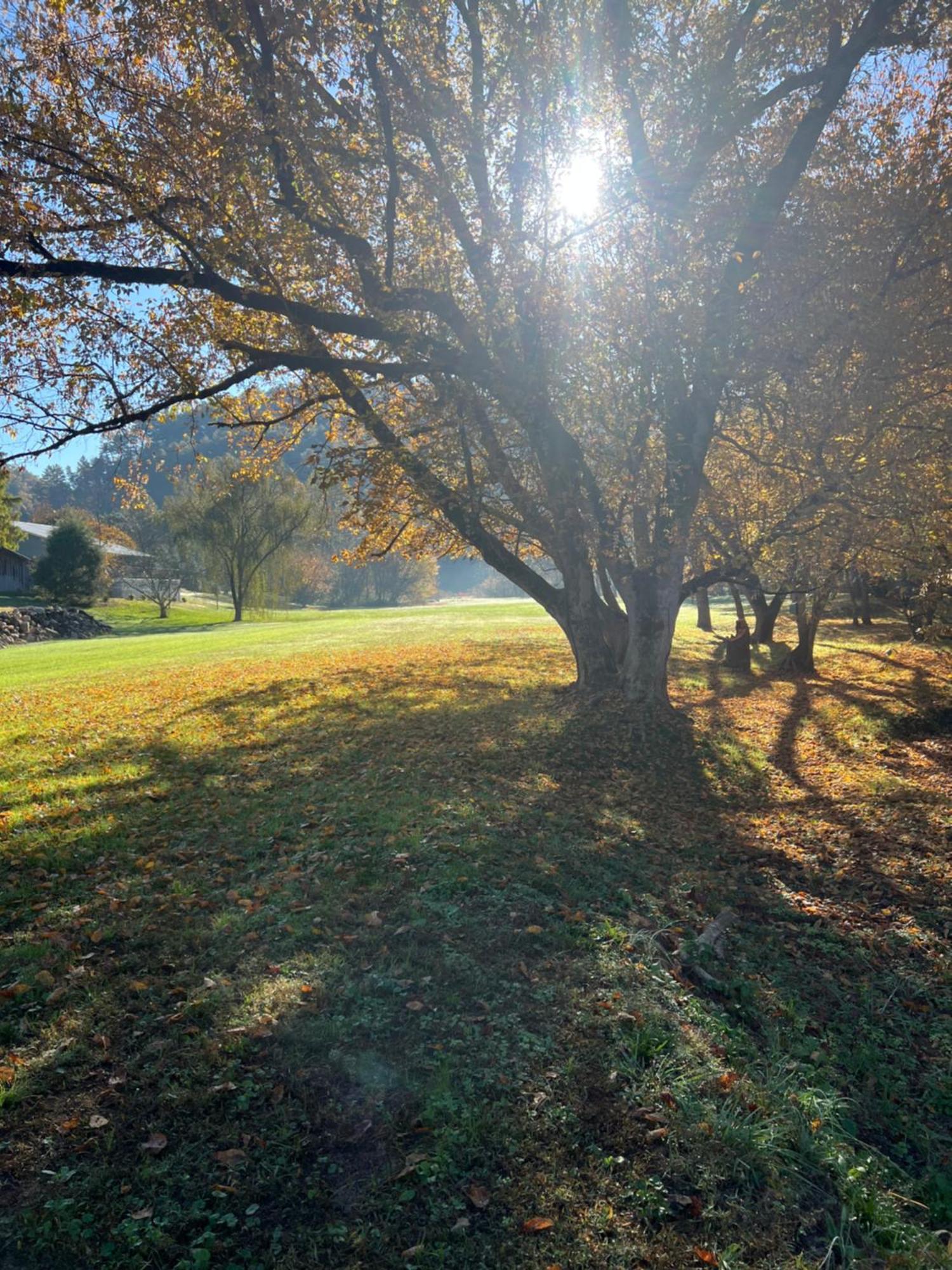 Firefly Fields 2-Acres With Guest House, Game Room, Mountain & River Views Sevierville Extérieur photo